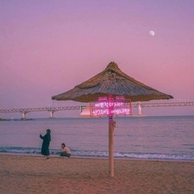 极速赛车8码预测网页下载截图